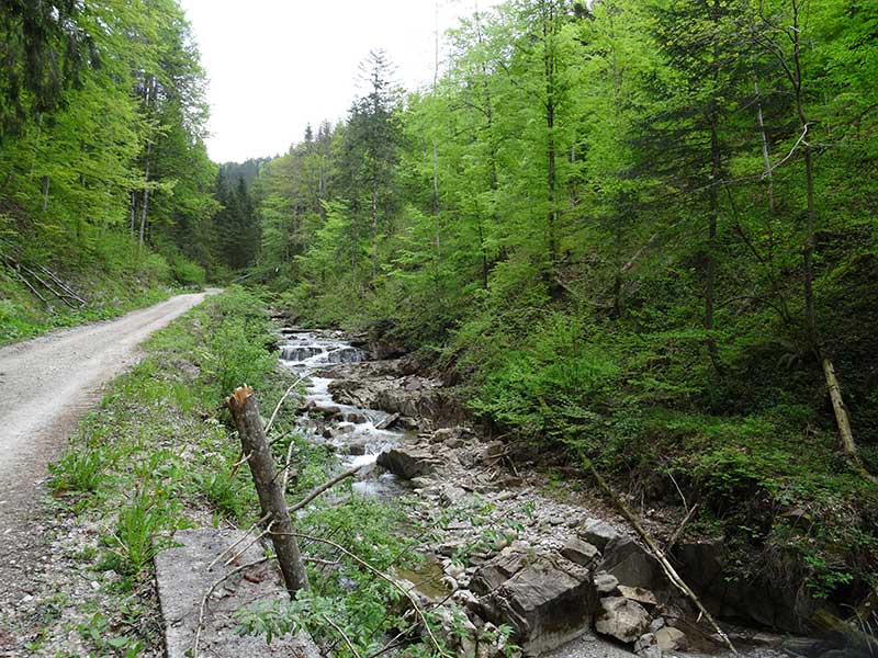 Hochkogel